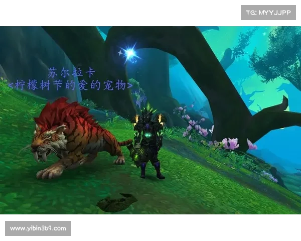 魔兽世界猎人：宠物视角切换攻略